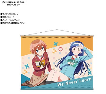 "We Never Learn" B2 Tapestry C