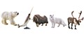 miniQ WILD RUSH -真・世界動物誌- III 極地・北極圏編 (miniQ Wild Rush -Shin, History of World Animals- III Polar Regions, Arcti Ver.)