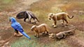 Wild Rush Shin, History of World Animals II -South America, Amazon Ver.-