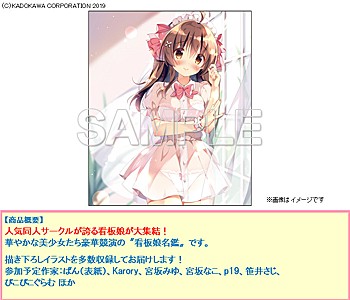 MOEOH Selection Kanbanmusume Album -Kawaii Kanbanmusume ga Ippai Nottete Donna Ko ka Oshietekureru Book- (Book)