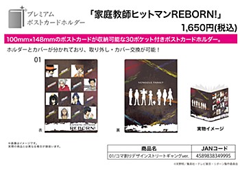 Premium Postcard Holder "Reborn!" 01 Panel Layout Design Street Gang Ver.