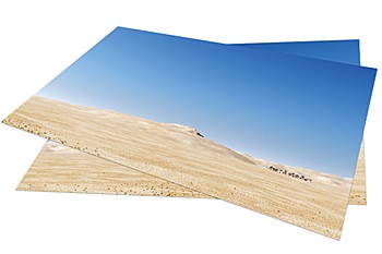 Diorama Sheet FREE Desert Back Wall