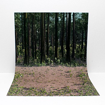 Diorama Sheet NEO FREE Forest & Desert Set