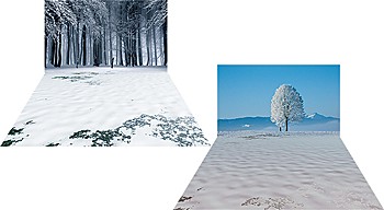 ジオラマシートEX F019 冬セットA (Diorama Sheet EX F019 Winter Set A)