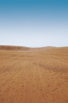 ジオラマシートPRO-M 砂漠A1 DSPM-DESERT-001a (Diorama Sheet PRO-M DESERT A1 DSPM-DESERT-001a)