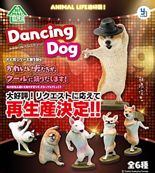 ANIMAL LIFE Dancing Dog