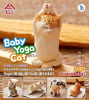 ANIMAL LIFE Baby Yoga Cat