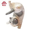 ANIMAL LIFE Baby Yoga Cat (ANIMAL LIFE Baby Yoga Cat)
