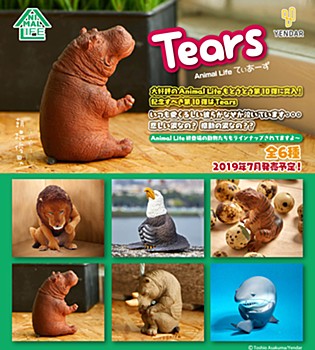ANIMAL LIFE Tears てぃあーず (ANIMAL LIFE Tears)