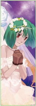 954P Jigsaw Puzzle "Macross Frontier The Movie -The Wings of Goodbye-" Ranka Lee Real Scale