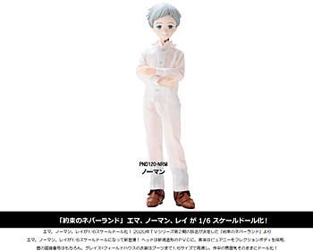 1/6 Pureneemo Character Series 120 "The Promised Neverland" Norman
