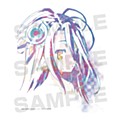 ノーゲーム・ノーライフ ゼロ シュヴィAni-Artキャンバスボード (