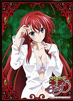 Chara Sleeve Collection Mat Series "High School DxD BorN" Rias Gremory No. MT243