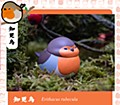 空想造物 ピヨピヨ小鳥ちゃんシリーズ 第2弾 世界の小鳥たち