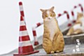 Sank Toys 猫街物語シリーズ 第一弾 瞑想猫-茶白 (Sank Toys Cat's Town Story Vol. 1 The Meditating Cat-Ginger Cat)