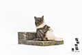 Sank Toys Cat's Town Story Vol. 2 The Relaxing Cat-Tabby Cat