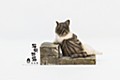 Sank Toys 猫街物語シリーズ 第ニ弾 のんびり猫-キジ白 (Sank Toys Cat's Town Story Vol. 2 The Relaxing Cat-Tabby Cat)