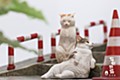 Sank Toys 猫街物語シリーズ 第ニ弾 のんびり猫-キジ白 (Sank Toys Cat's Town Story Vol. 2 The Relaxing Cat-Tabby Cat)
