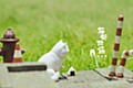 Sank Toys 猫街物語シリーズ 第四弾 お手猫-白
