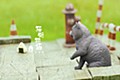 Sank Toys 猫街物語シリーズ 第四弾 お手猫-グレー